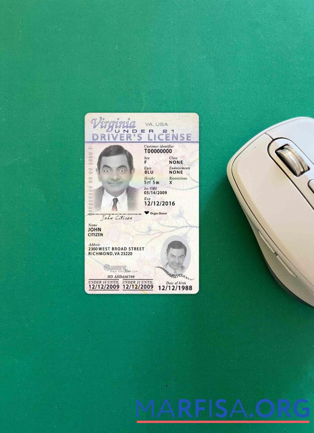 Blank USA Virginia driving license under 21 2009 present photolook template